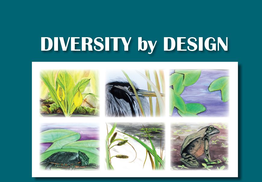 Diversity by Design